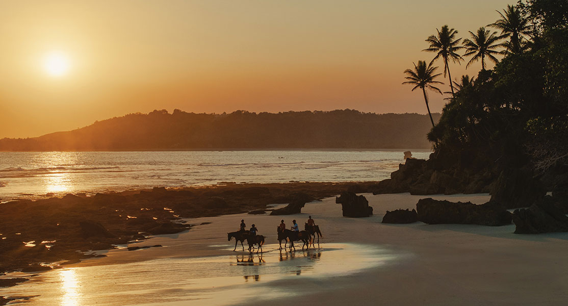 Sunset Horse Riding